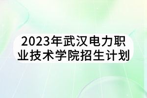 2023年武汉电力职业技术学院招生计划