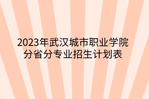 2023年武汉城市职业学院分省分专业招生计划表