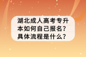 湖北成人高考专升本如何自己报名？具体流程是什么？