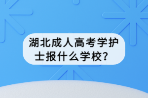 湖北成人高考学护士报什么学校？