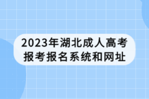 2023年湖北成人高考报考报名系统和网址