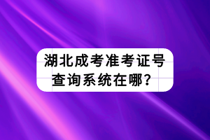 湖北成考准考证号查询系统在哪？