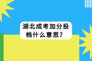 湖北成考加分投档什么意思？