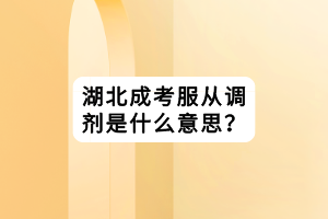 湖北成考服从调剂是什么意思？