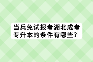 当兵免试报考湖北成考专升本的条件有哪些？
