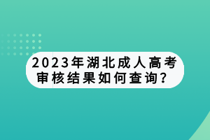 2023年湖北成人高考审核结果如何查询？