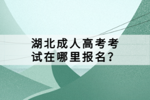 湖北成人高考考试在哪里报名？