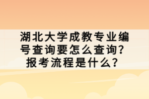 湖北大学成教专业编号查询要怎么查询？报考流程是什么？