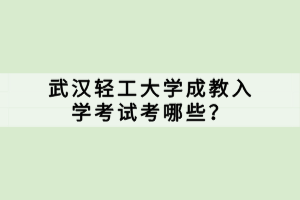 武汉轻工大学成教入学考试考哪些？