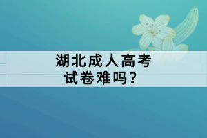 湖北成人高考试卷难吗？