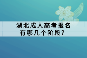 湖北成人高考报名有哪几个阶段？
