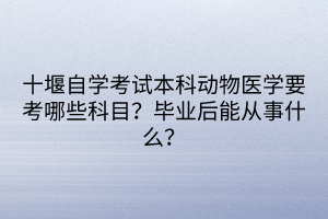 十堰自学考试本科动物医学要考哪些科目？毕业后能从事什么？