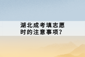 湖北成考填志愿时的注意事项？