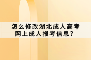 怎么修改湖北成人高考网上成人报考信息？