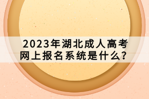 2023年湖北成人高考网上报名系统是什么？