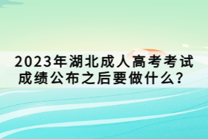 2023年湖北成人高考考试成绩公布之后要做什么？