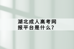 湖北成人高考网报平台是什么？