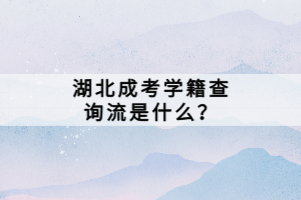 湖北成考学籍查询流是什么？