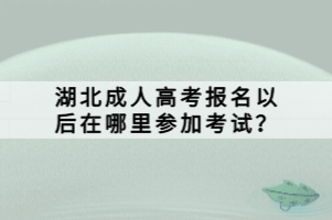 湖北成人高考报名以后在哪里参加考试？