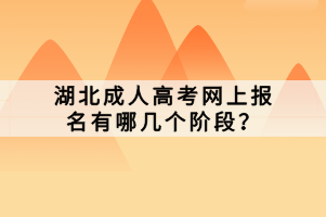 湖北成人高考网上报名有哪几个阶段？