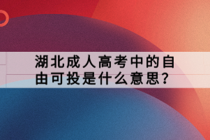 湖北成人高考中的自由可投是什么意思？