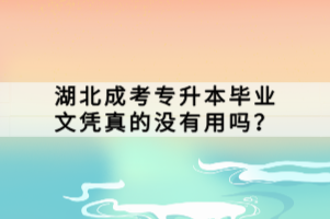 湖北成考专升本毕业文凭真的没有用吗？