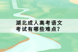 湖北成人高考语文考试有哪些难点？