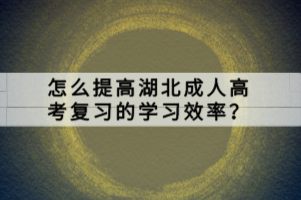 怎么提高湖北成人高考复习的学习效率？