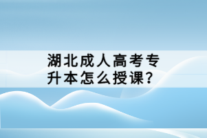 湖北成人高考专升本怎么授课？