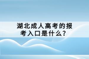 湖北成人高考的报考入口是什么？