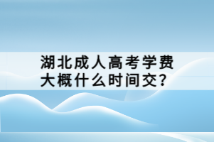 湖北成人高考被录取有通知书吗？
