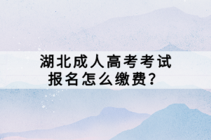 湖北成人高考考试报名怎么缴费？