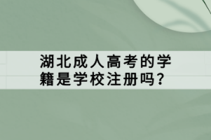 湖北成人高考的学籍是学校注册吗？