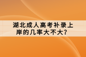 湖北成人高考补录上岸的几率大不大？