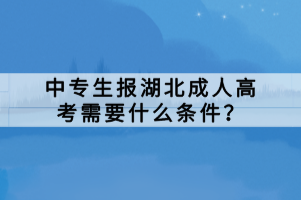 中专生报湖北成人高考需要什么条件？