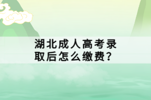 湖北成人高考录取后怎么缴费？