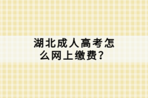 湖北成人高考怎么网上缴费？