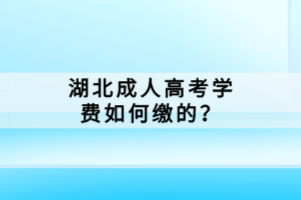 湖北成人高考学费如何缴的？