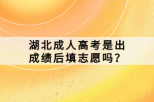 湖北成人高考是出成绩后填志愿吗？