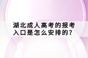 湖北成人高考的报考入口是怎么安排的？