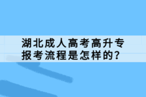 湖北成人高考高升专报考流程是怎样的？