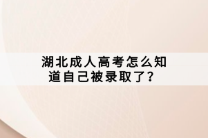 湖北成人高考怎么知道自己被录取了？