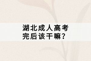 湖北成人高考完后该干嘛？