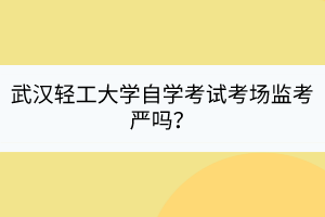 武汉轻工大学自学考试考场监考严吗？