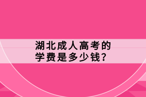 湖北成人高考的学费是多少钱？