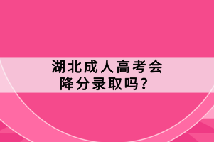 湖北成人高考会降分录取吗？