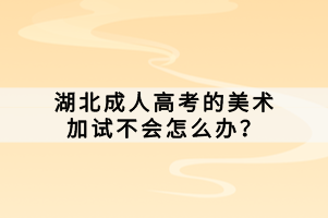 湖北成人高考的美术加试不会怎么办？