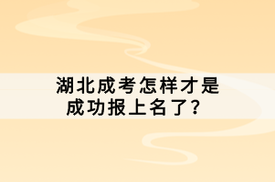 湖北成考怎样才是成功报上名了？