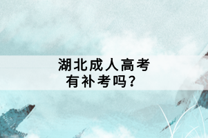 湖北成人高考有补考吗？