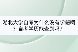 湖北大学自考为什么没有学籍啊？自考学历能查到吗？